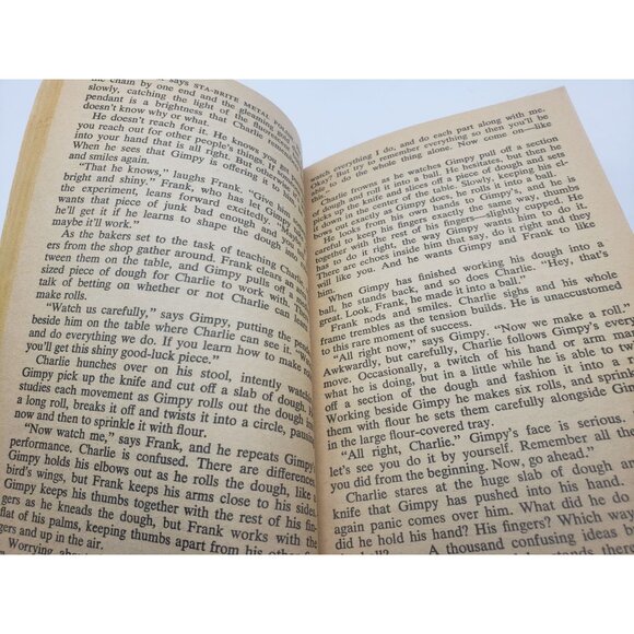 Flowers For Algernon By Daniel Keyes Bantam Paperback - Picture 5 of 9